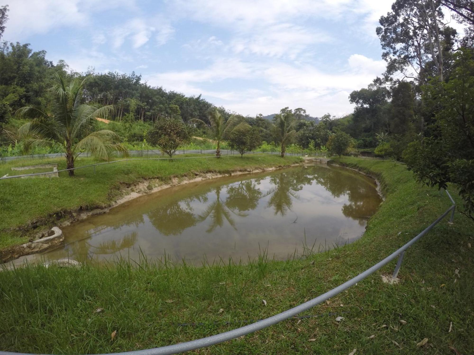Santai De Lui Resorts Kampong Masjid  Экстерьер фото